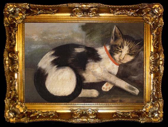 framed  unknow artist Cat in Red Necklace, ta009-2